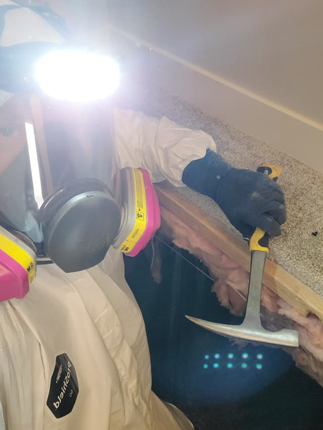 Crawlspace inspection