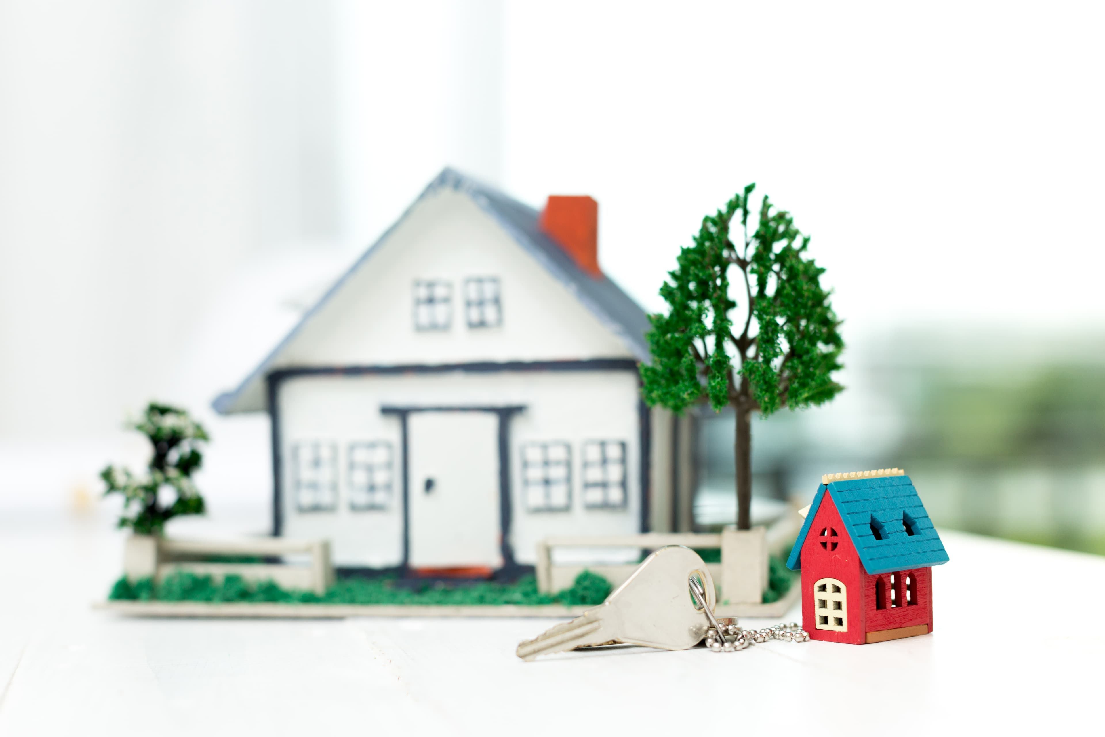 Evolve Real Estate Inspections
